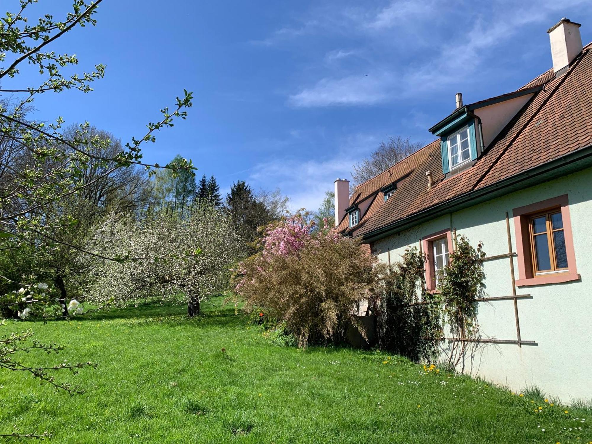 Ferienwohnung In Historischer Muehle Buchen  Exterior photo